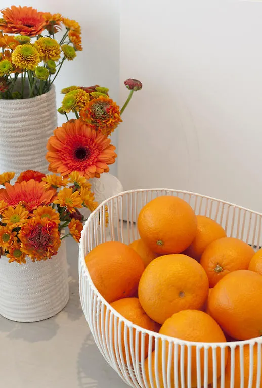 B&B Rosier 10 Antwerpen Bed & Breakfast